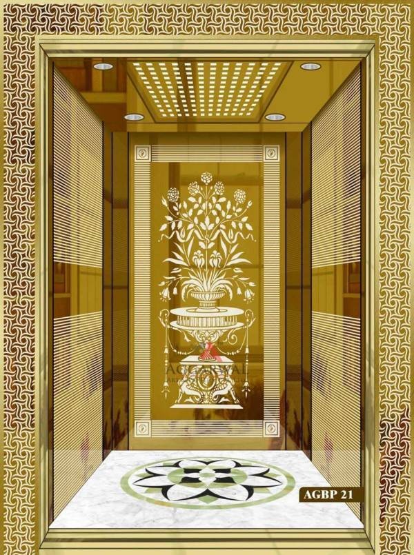 Residential Home Lift